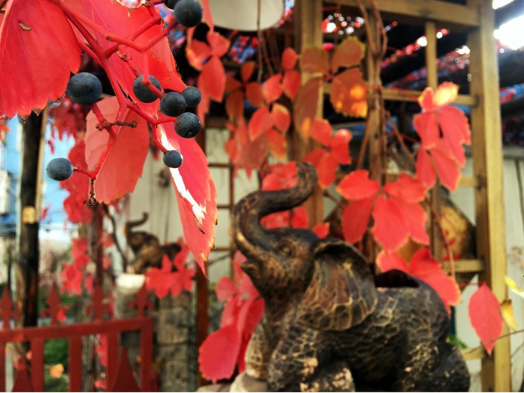 First Met Backpackers Hostel 承德 外观 照片