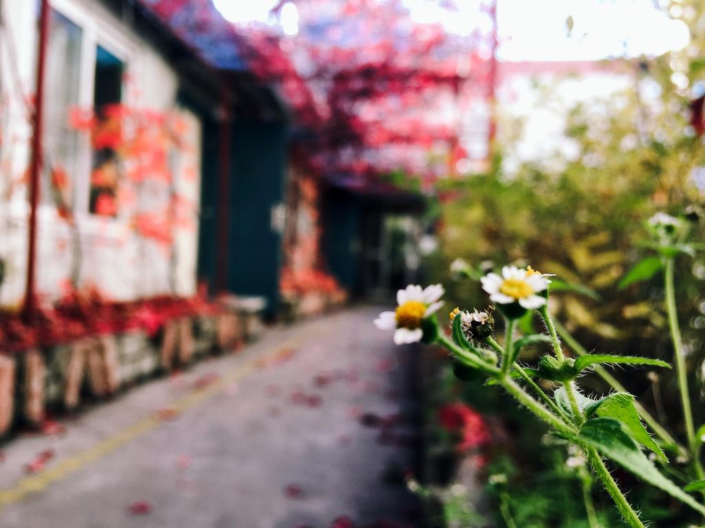 First Met Backpackers Hostel 承德 外观 照片